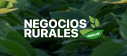 Imagen de ejemplo