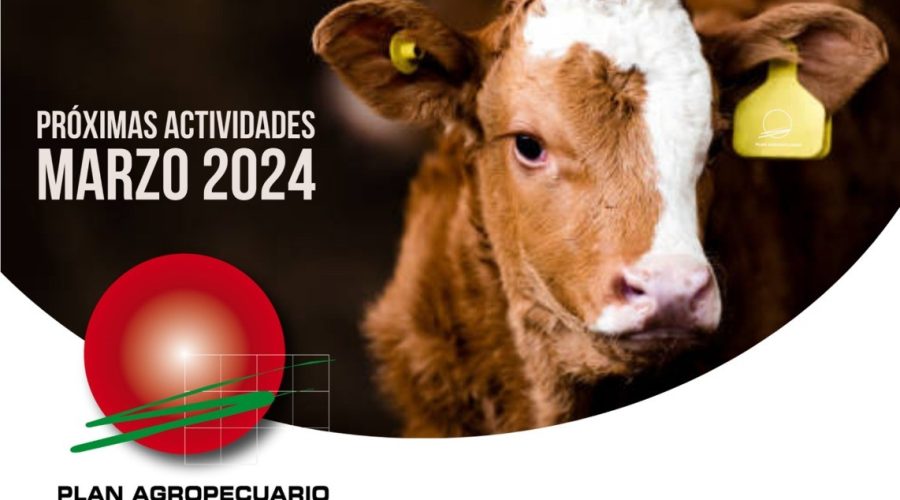 Próximas actividades presenciales – Marzo 2024