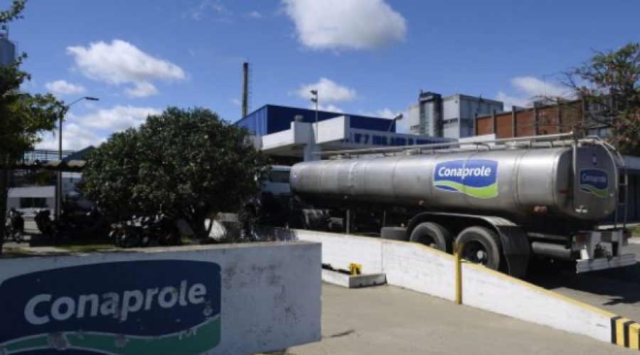 Efecto lluvias: remisión de leche a Conaprole cae 6% en lo que va de abril