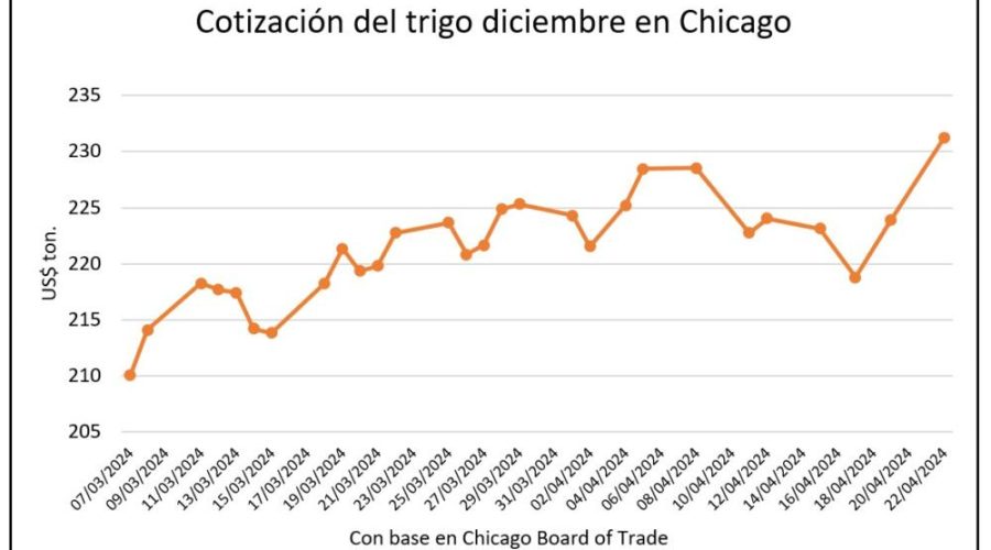 El trigo se dispara, una oportunidad para la cebada